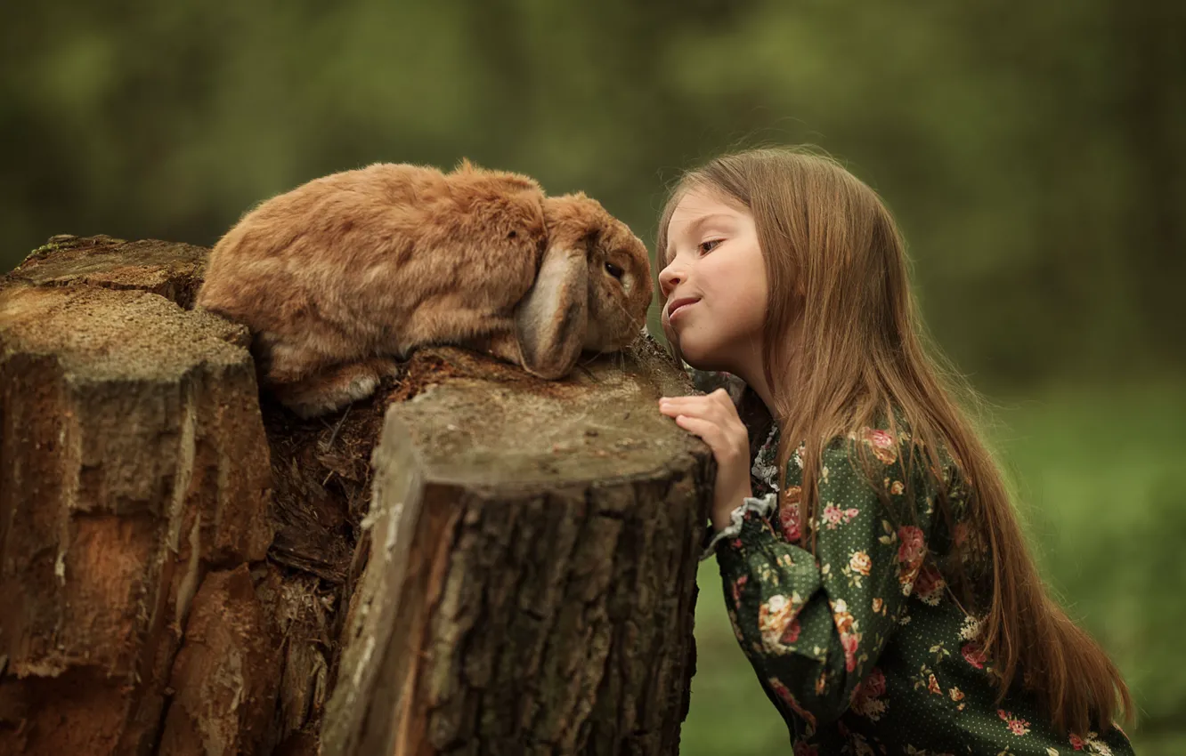 Photo wallpaper children, animal, stump, rabbit, girl, Julia Kubar