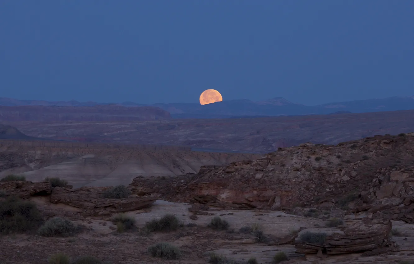 Photo wallpaper night, the moon, desert, photographer, Utah, USA, national Park, canyons