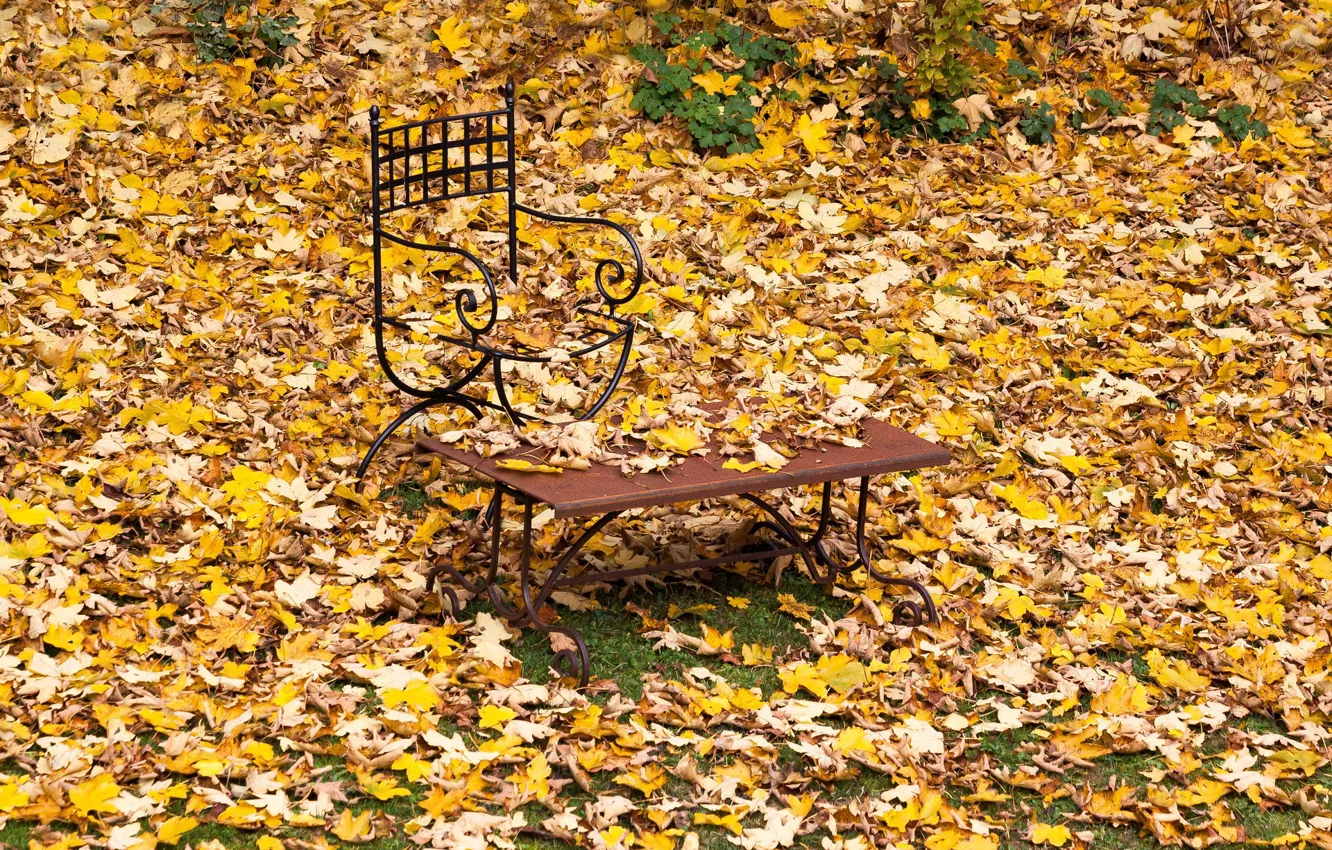 Photo wallpaper bench, chair, falling leaves