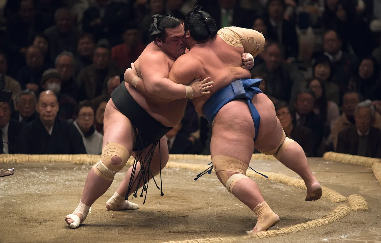 Photo wallpaper sport, fight, sumo