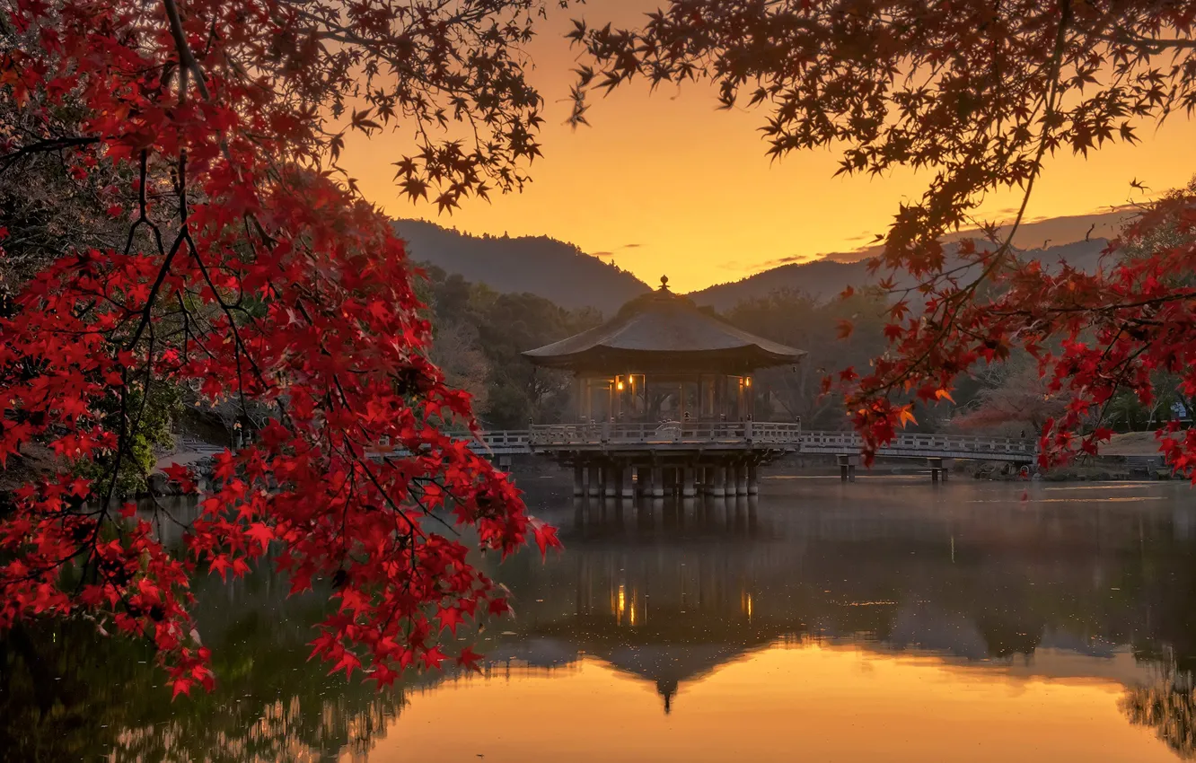 Photo wallpaper autumn, leaves, pond, Japan, gazebo
