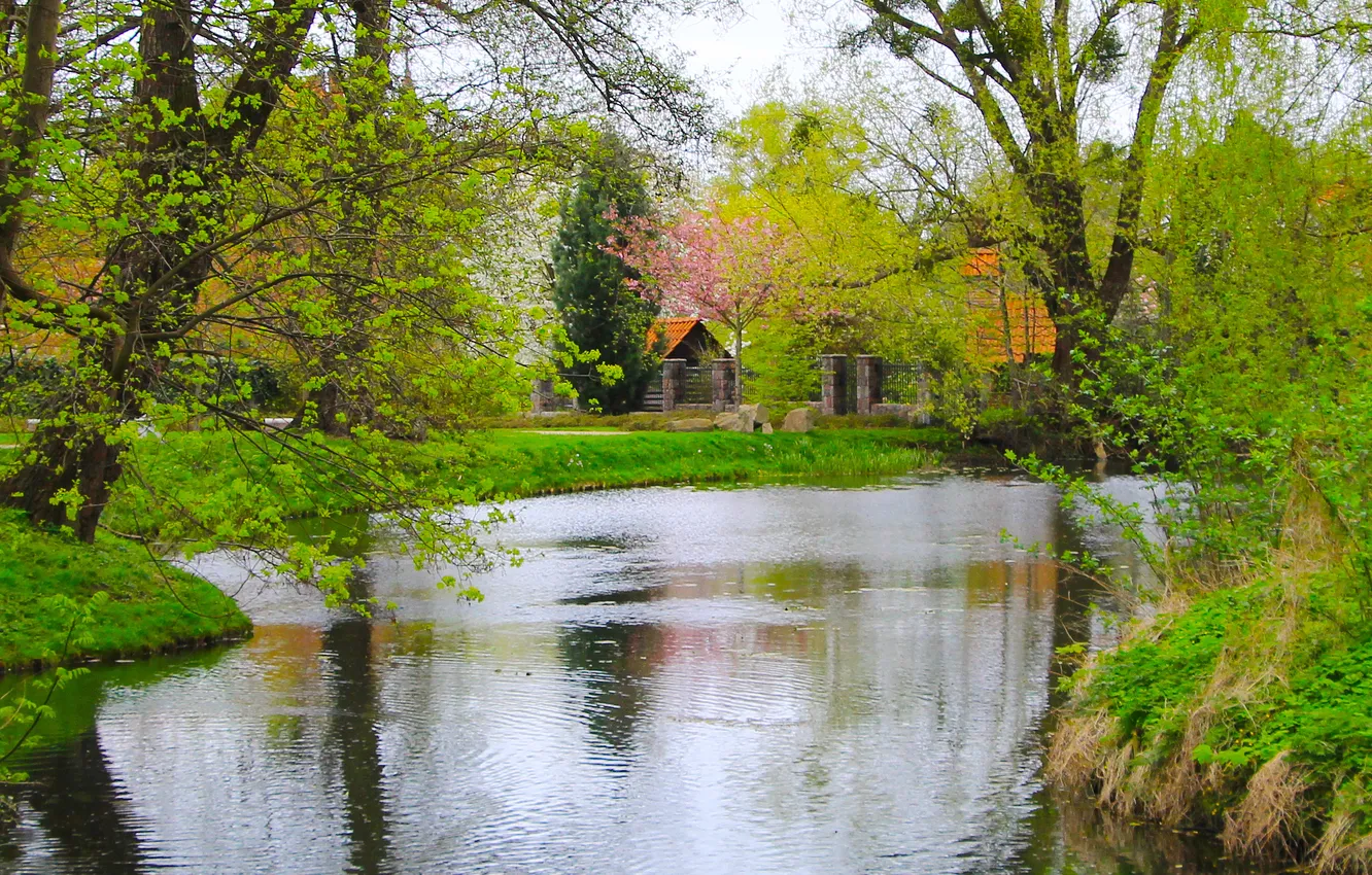 Photo wallpaper water, park, lake, tree, spring, pond