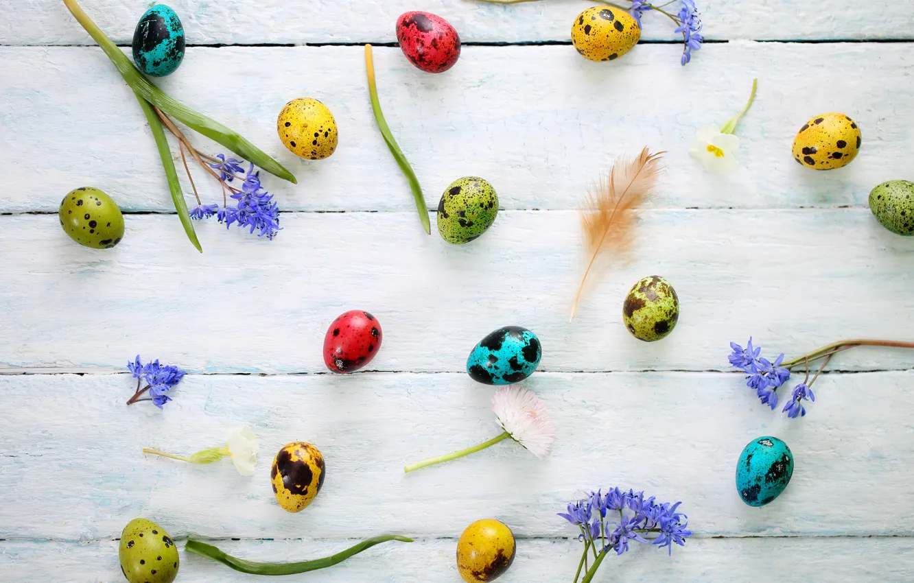 Photo wallpaper flowers, holiday, eggs, feathers, Easter