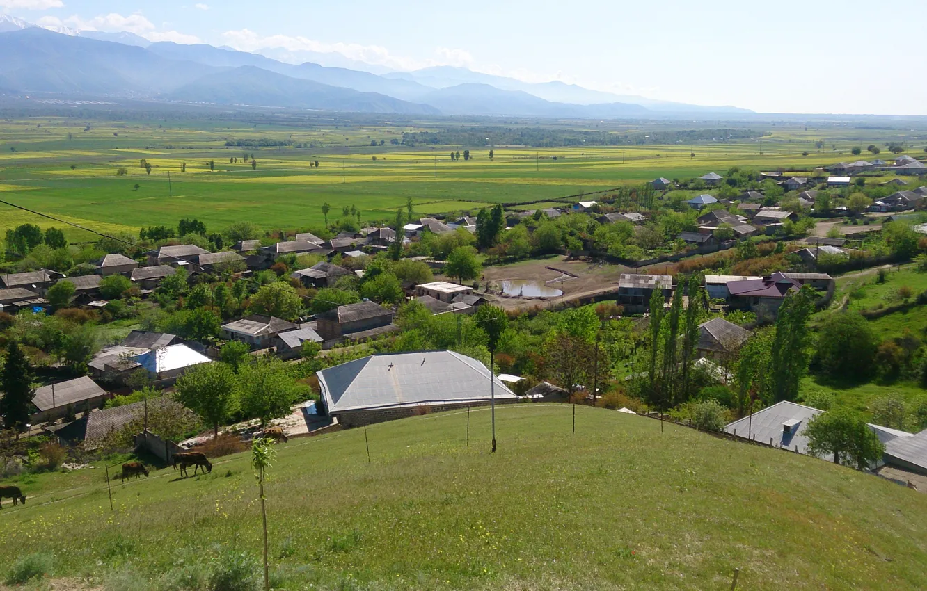 Photo wallpaper village, Azerbaijan, Azerbaijan, Shaki, Caucasus, The Caucasus mountains