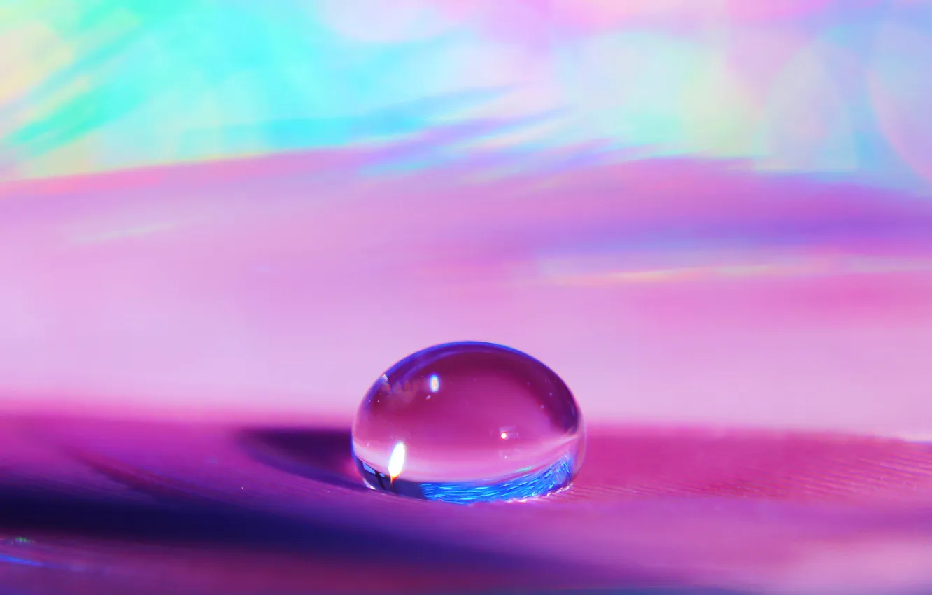 Photo wallpaper water, drops, macro