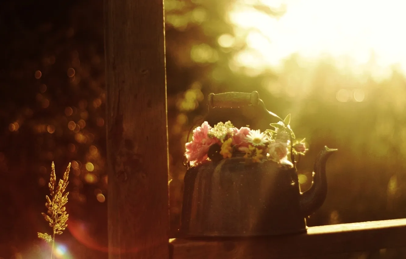 Photo wallpaper macro, flowers, photo, kettle, bokeh