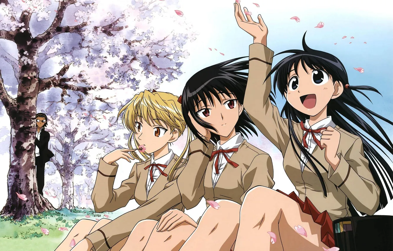 Photo wallpaper girl, Sakura, schoolgirl, Sawachika Eri, Harima Kenji, Tenma Tsukamoto, School Rumble