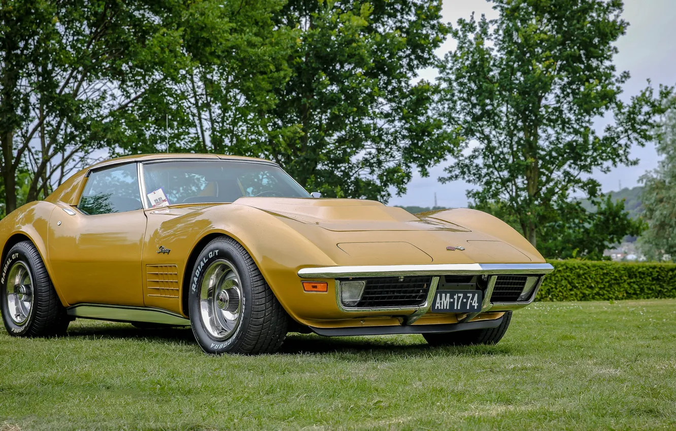 Photo wallpaper Corvette, Chevrolet, Stingray