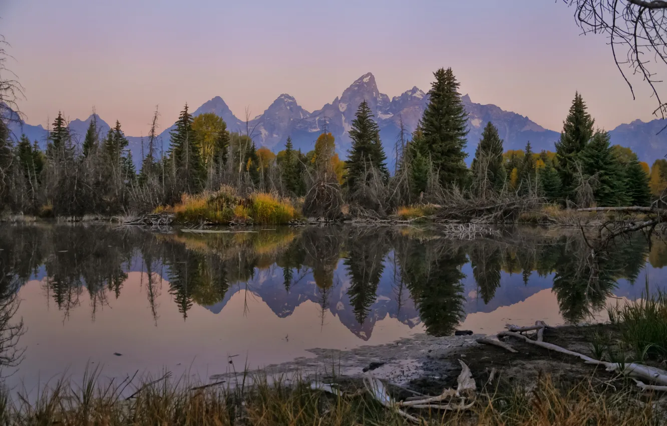 Photo wallpaper forest, mountains, lake, reflection