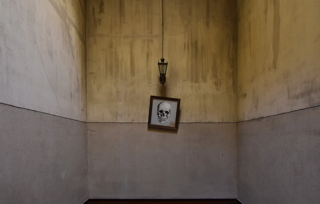 Photo wallpaper room, skull, lamp