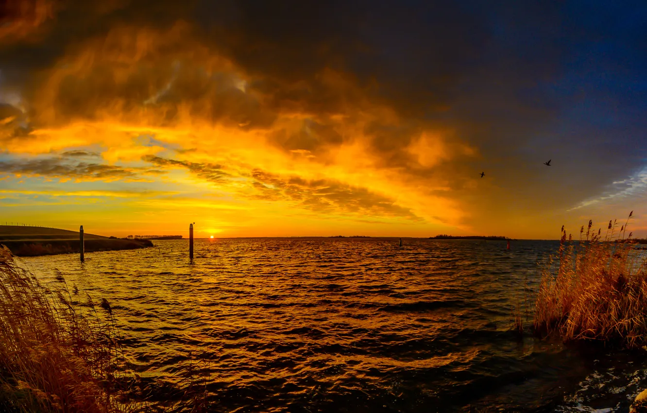 Photo wallpaper the sky, clouds, river, bird, shore, glow, Netherlands