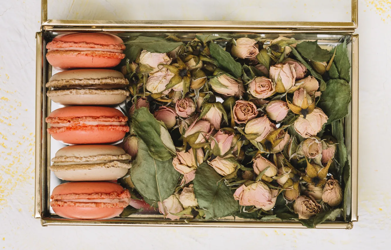 Photo wallpaper box, roses, buds, macaron