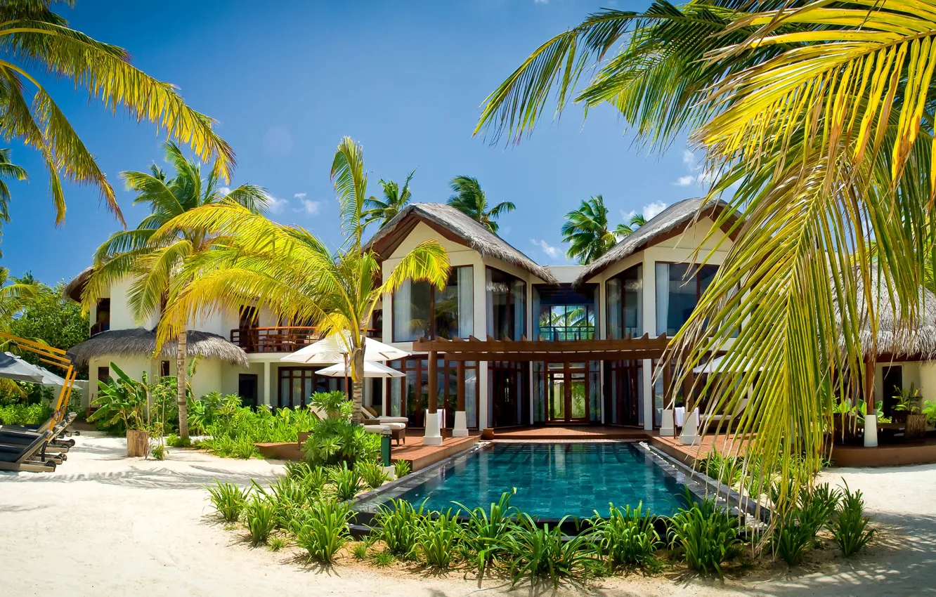 Photo wallpaper palm trees, Villa, pool, exotic, Maldives