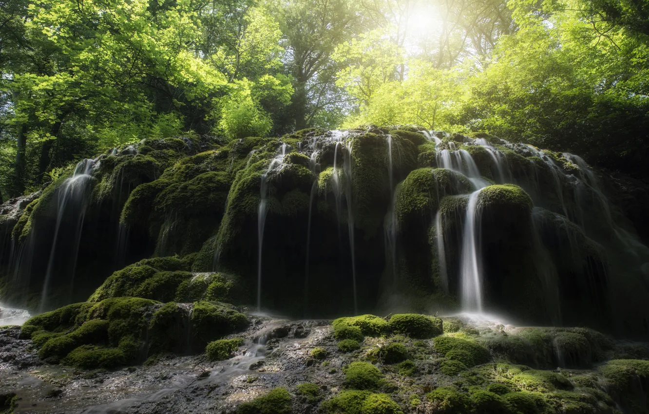 Photo wallpaper forest, the sun, light, stones, waterfall, moss, cascade