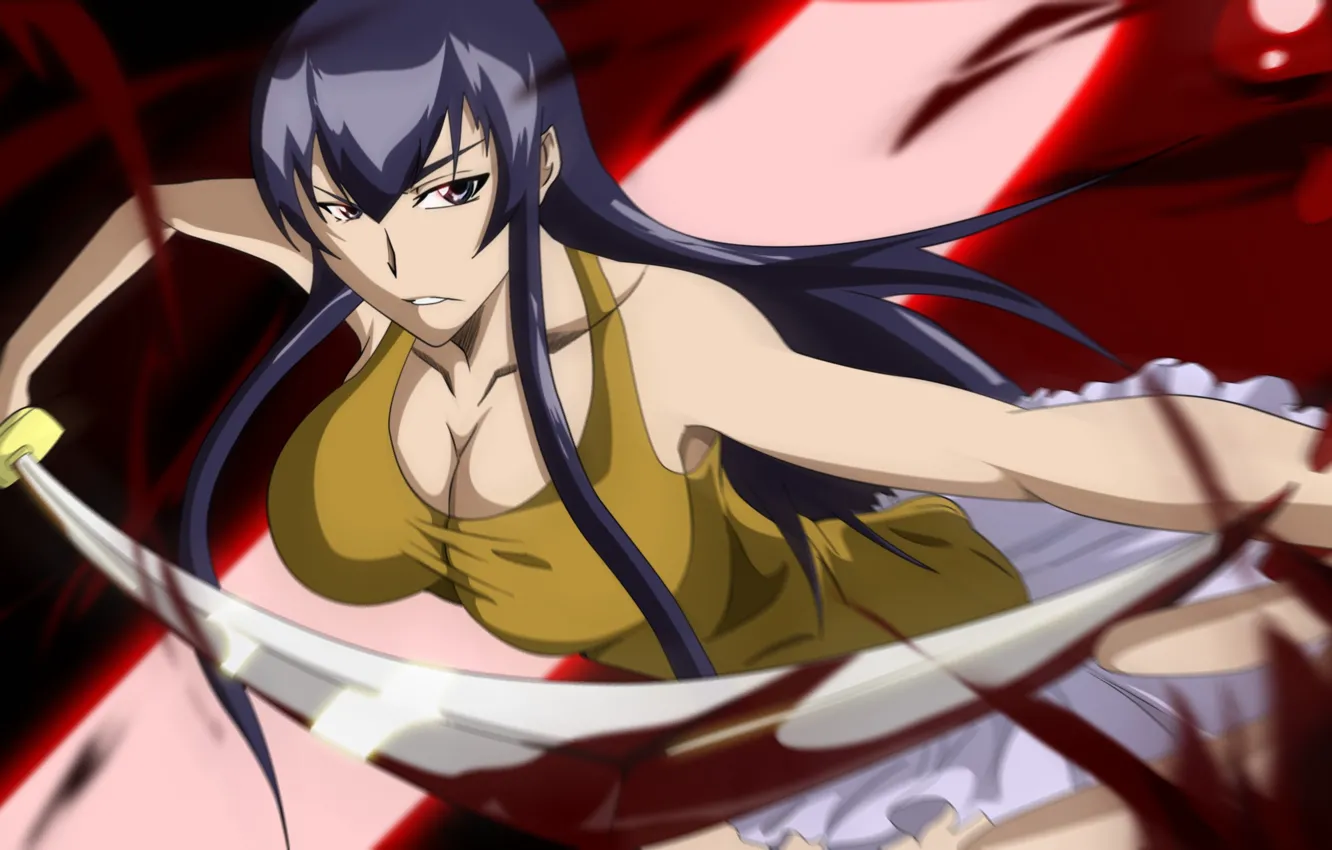 Photo wallpaper look, pose, sword, anime, Saeco Busujima, School Of The Dead, Highschool of the Dead, The …