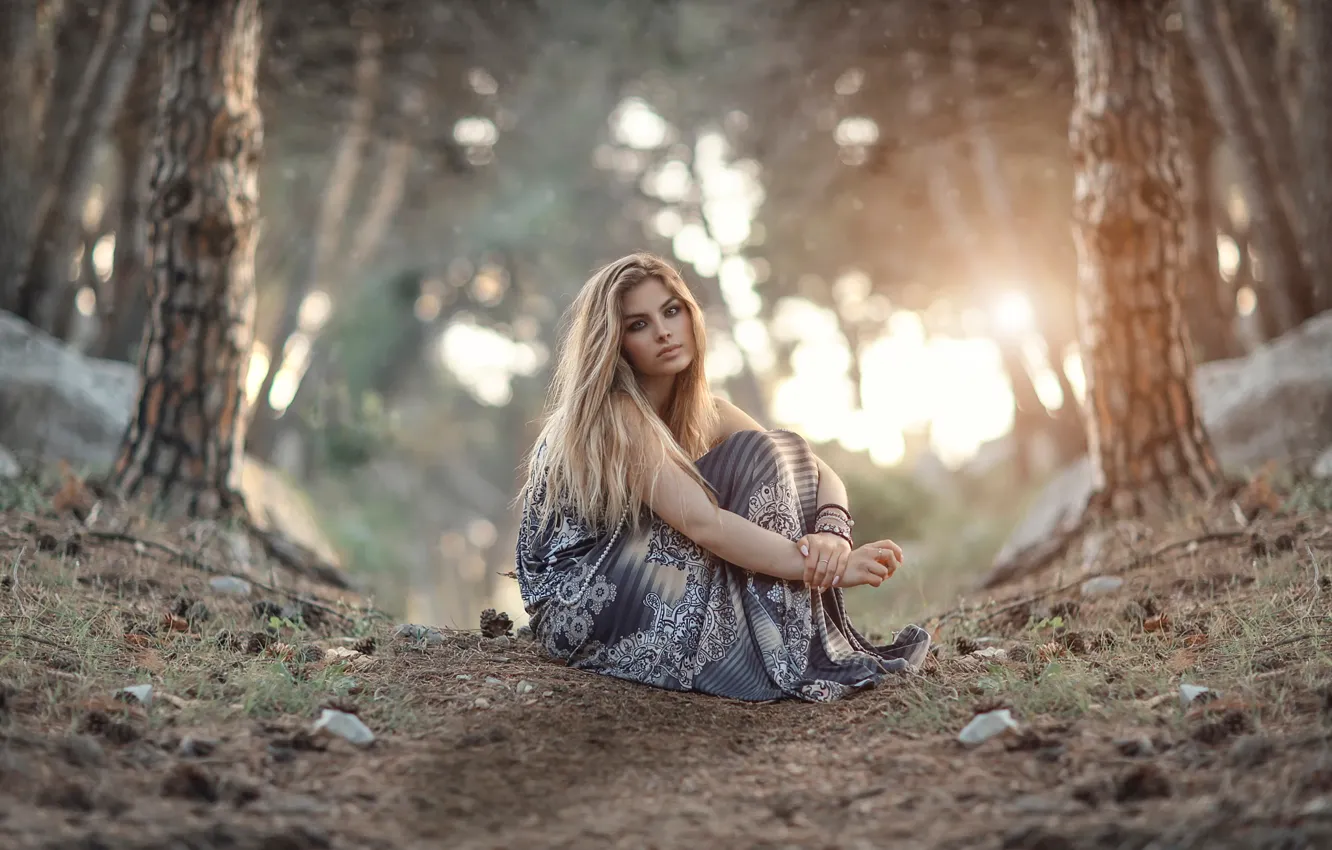 Photo wallpaper forest, look, Alessandro Di Cicco, Another Sunrise