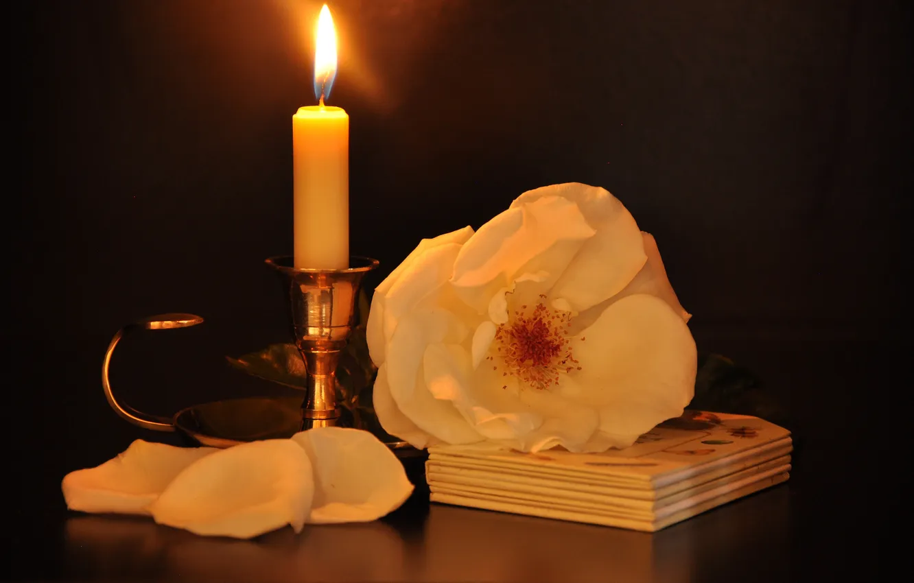 Photo wallpaper white, roses, candles, tea, candle holder