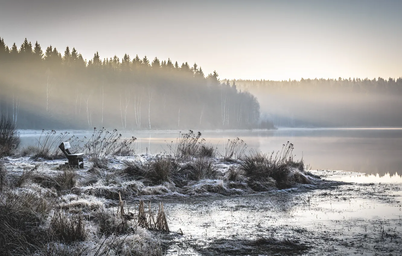 Photo wallpaper landscape, nature, fog, lake, morning, bench