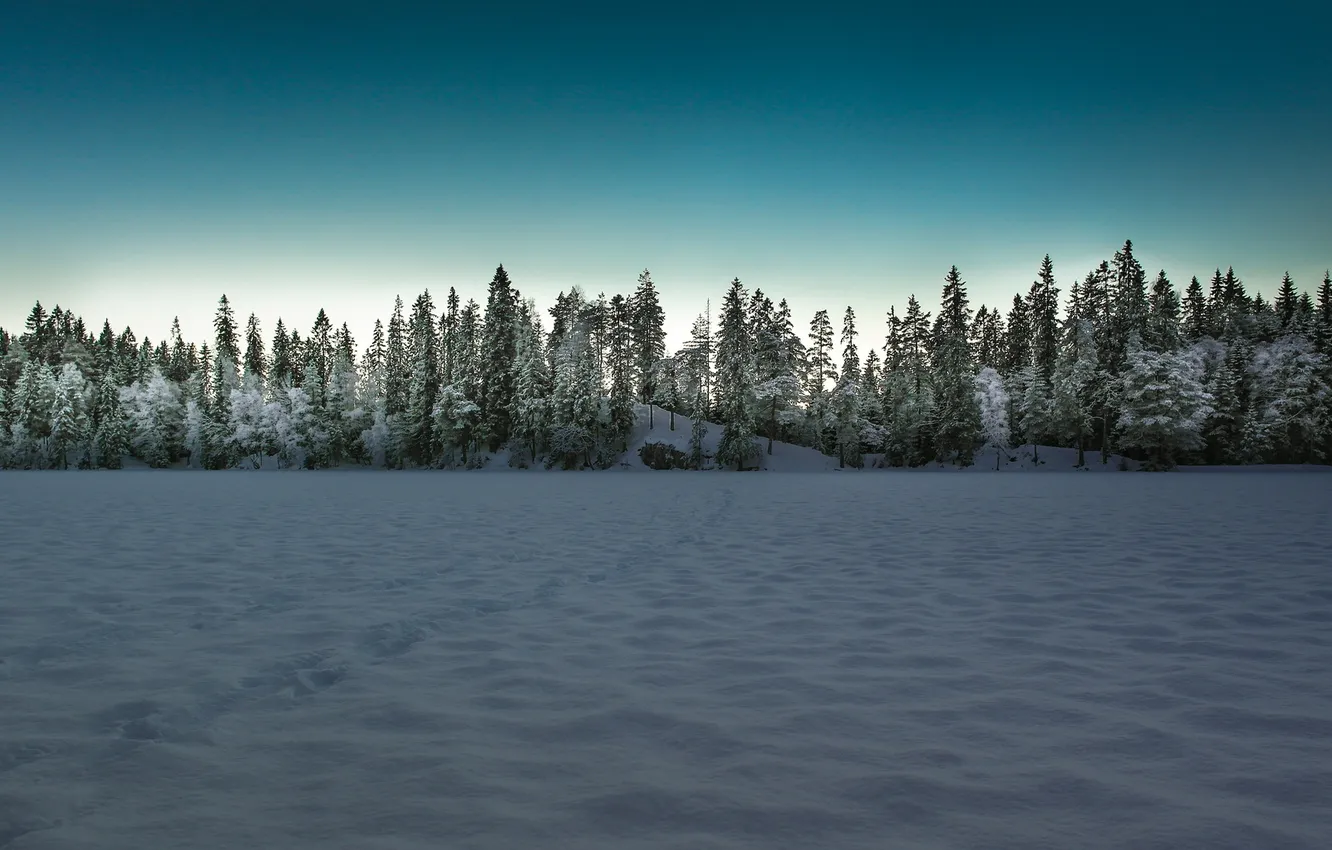 Photo wallpaper winter, field, landscape
