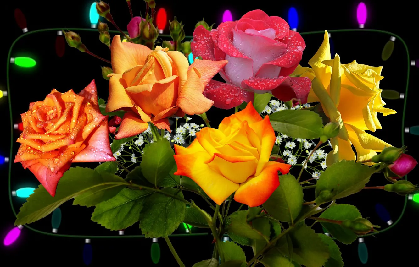 Photo wallpaper flowers, roses, bouquet