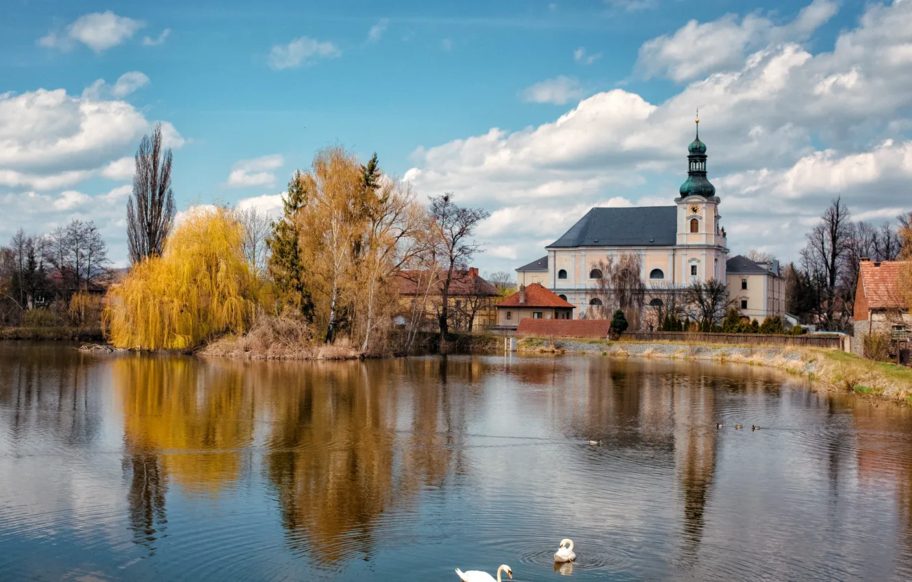 Photo wallpaper landscape, birds, nature, pond, village, duck, home, Czech Republic