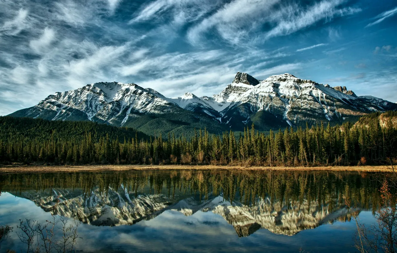 Photo wallpaper The sky, Mountains, Forest, Mountain river