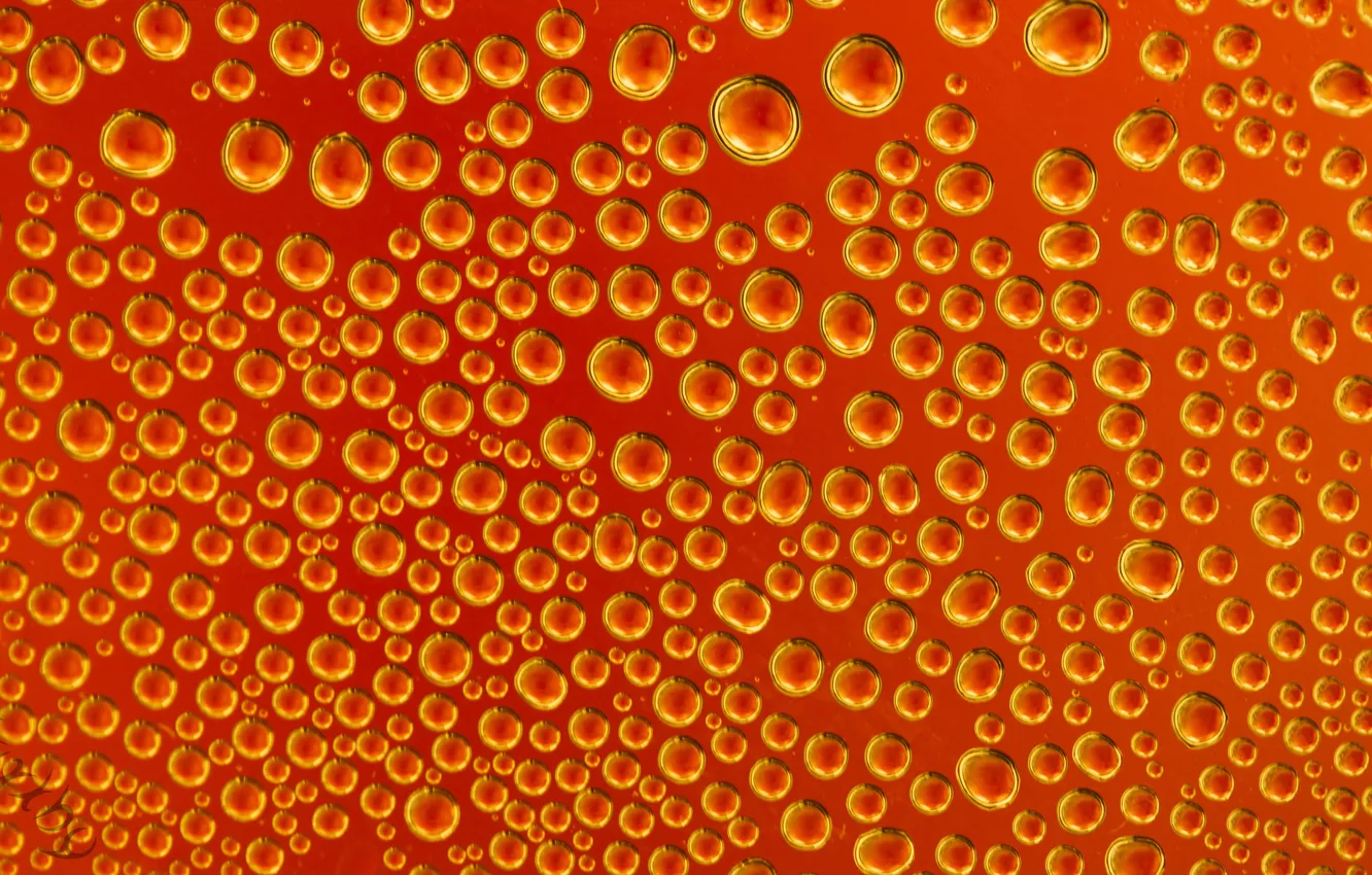 Photo wallpaper glass, water, drops, macro, color