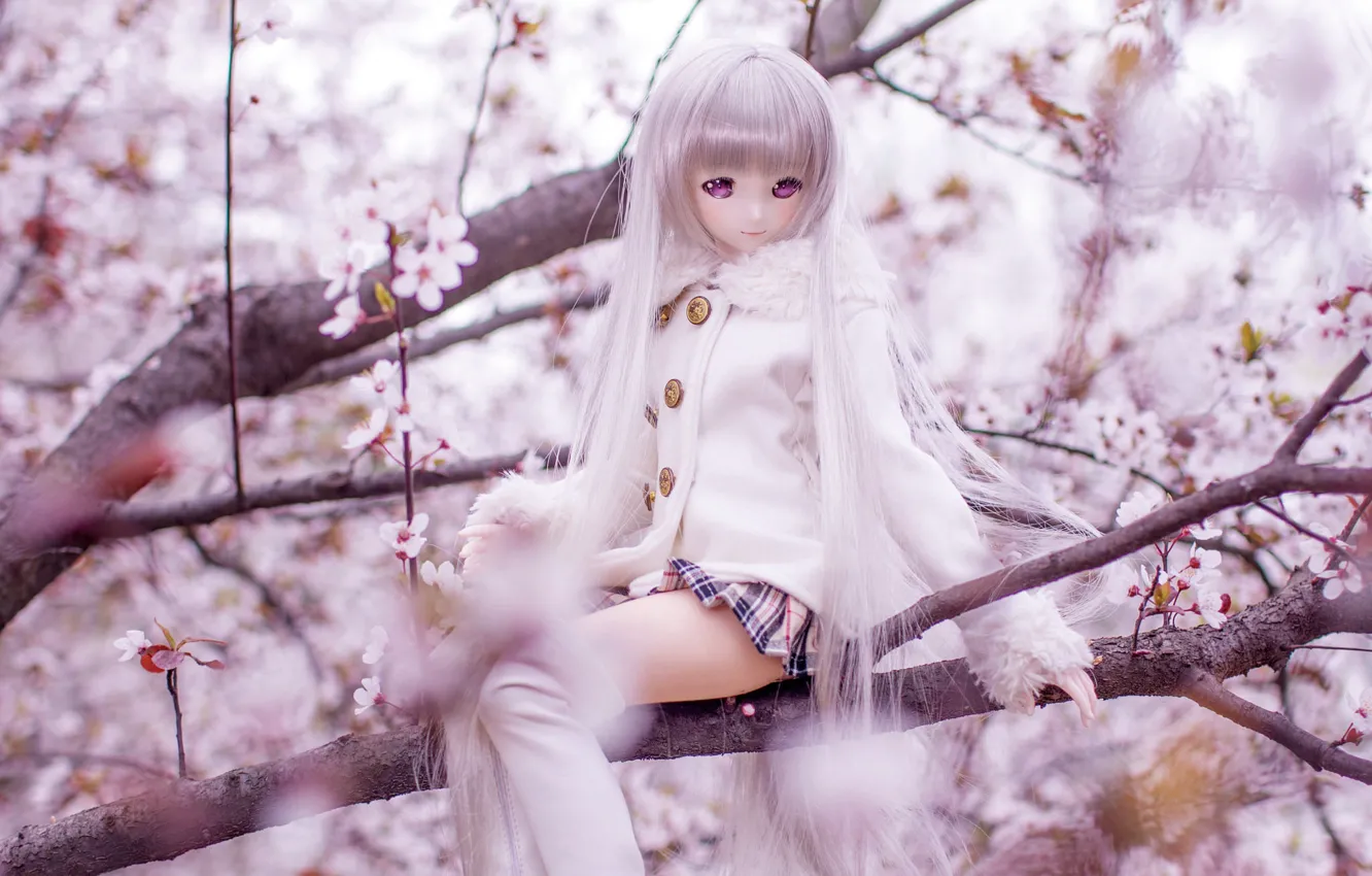 Photo wallpaper trees, hair, toy, doll, Sakura