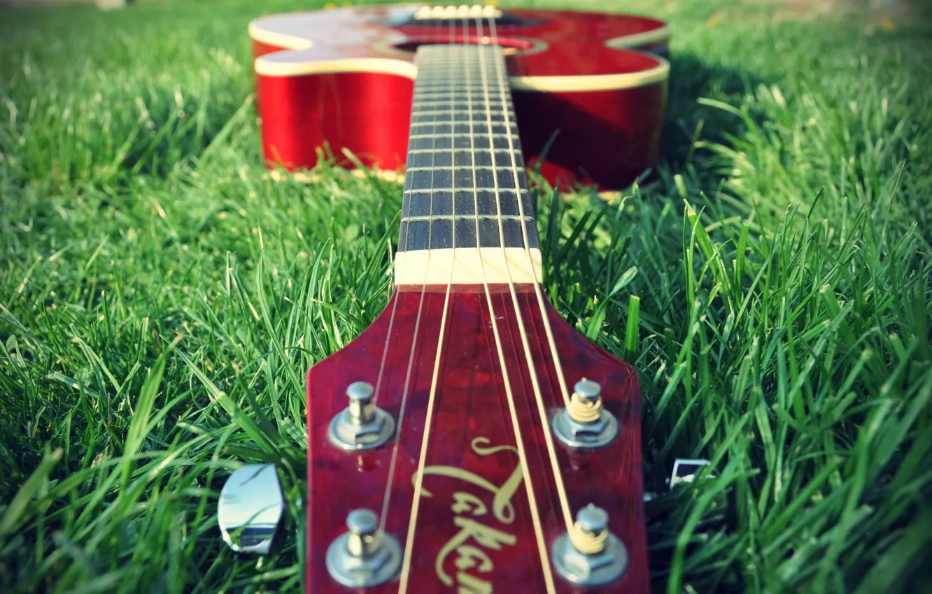 Photo wallpaper grass, nature, music, Wallpaper, mood, guitar, plants, musical instrument