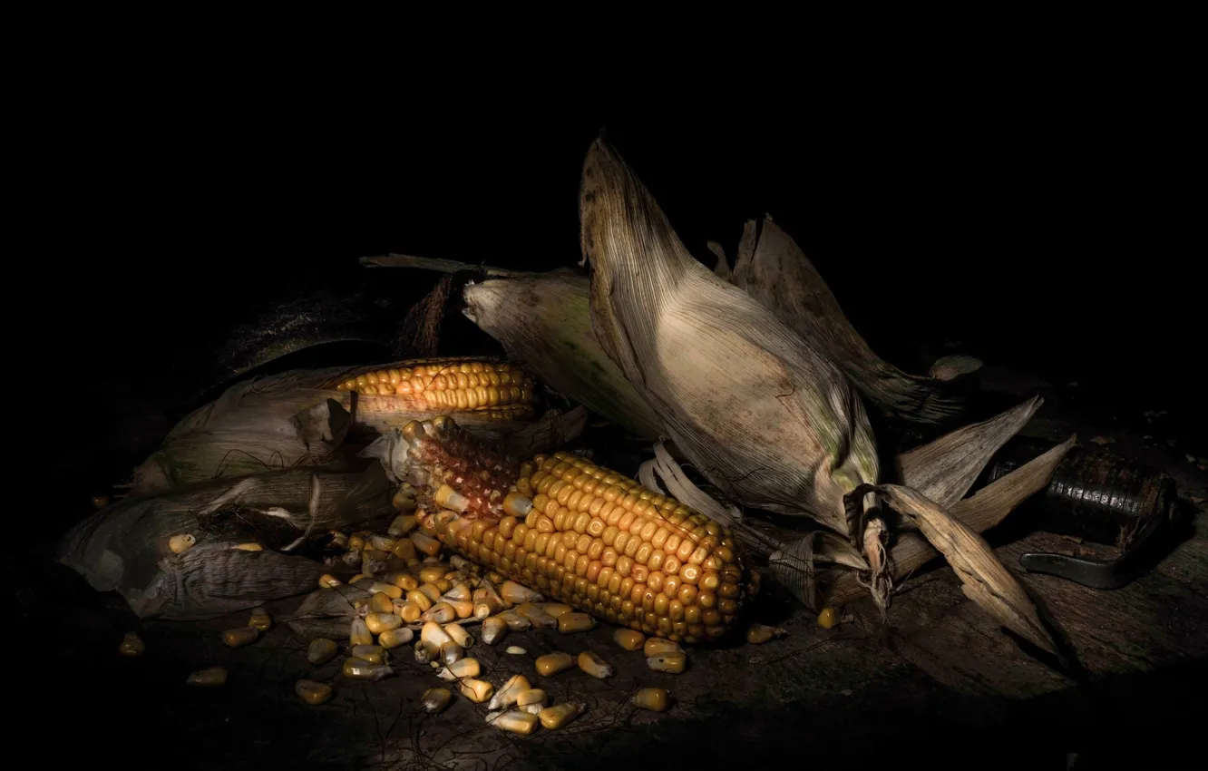 Photo wallpaper corn, grain, the cob