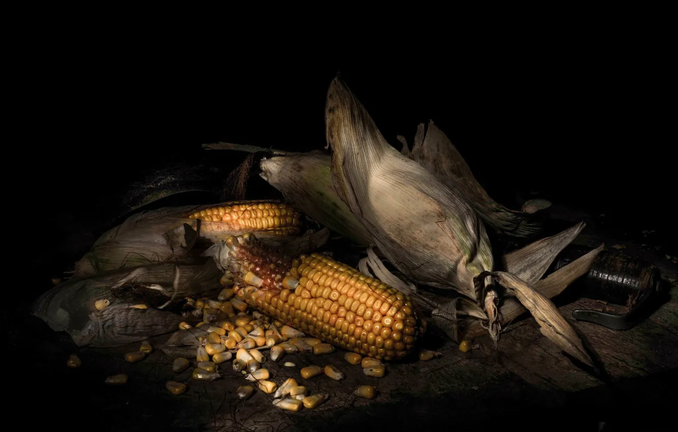 Photo wallpaper grain, corn, the cob