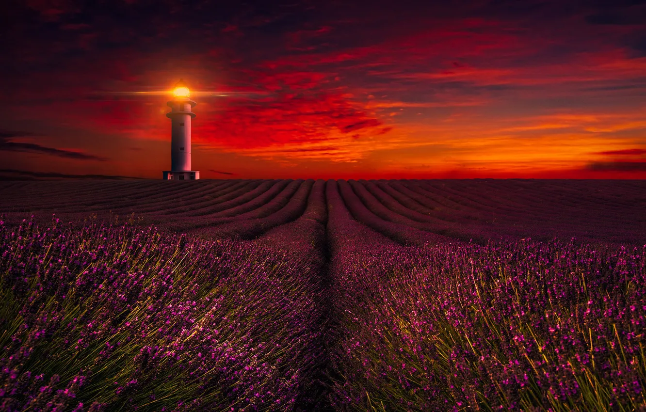 Photo wallpaper field, the sky, clouds, light, sunset, flowers, dawn, lighthouse