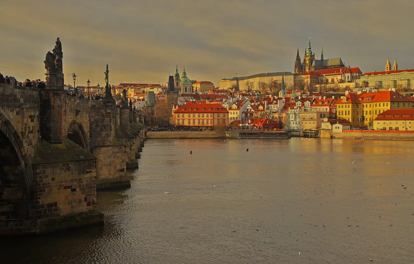 Photo wallpaper river, home, Prague, Czech Republic, Charles bridge, St. Vitus Cathedral