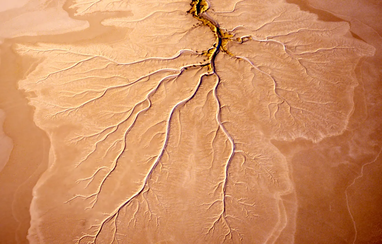Photo wallpaper river, Australia, QLD, orbital view, Norman