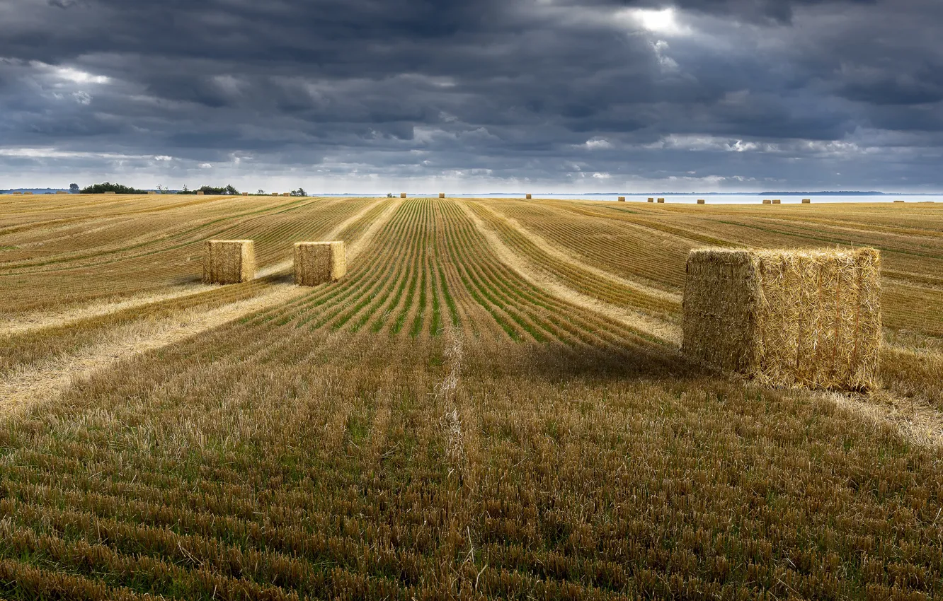 Photo wallpaper field, autumn, the sky, clouds, strip, overcast, track, dal