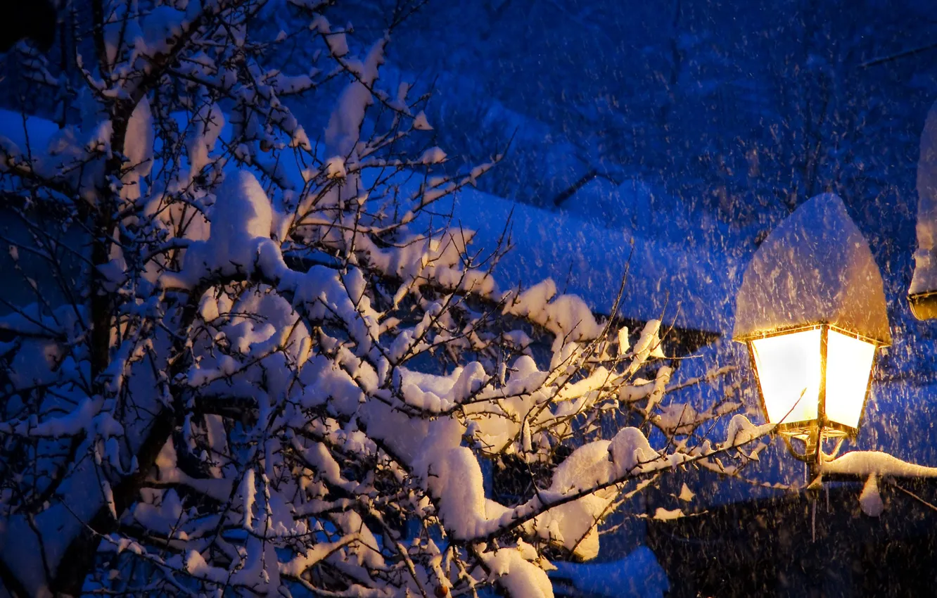Photo wallpaper winter, roof, light, snow, trees, slope, lights