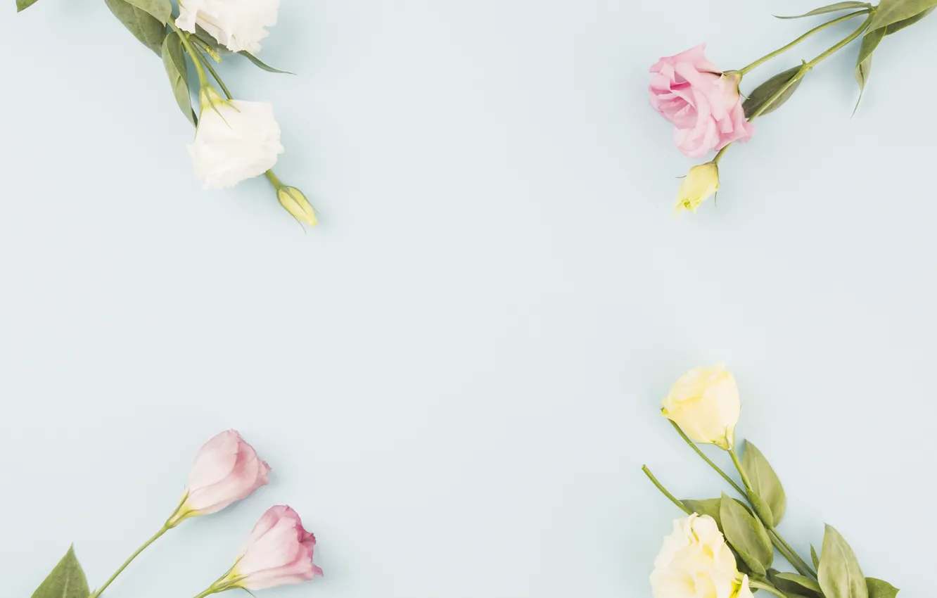 Photo wallpaper flowers, bouquet, eustoma