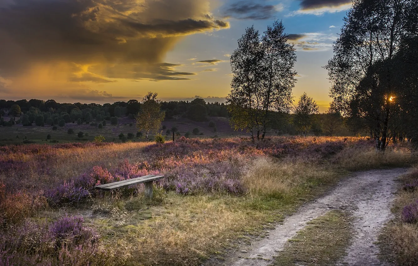 Photo wallpaper road, sunset, nature, bench