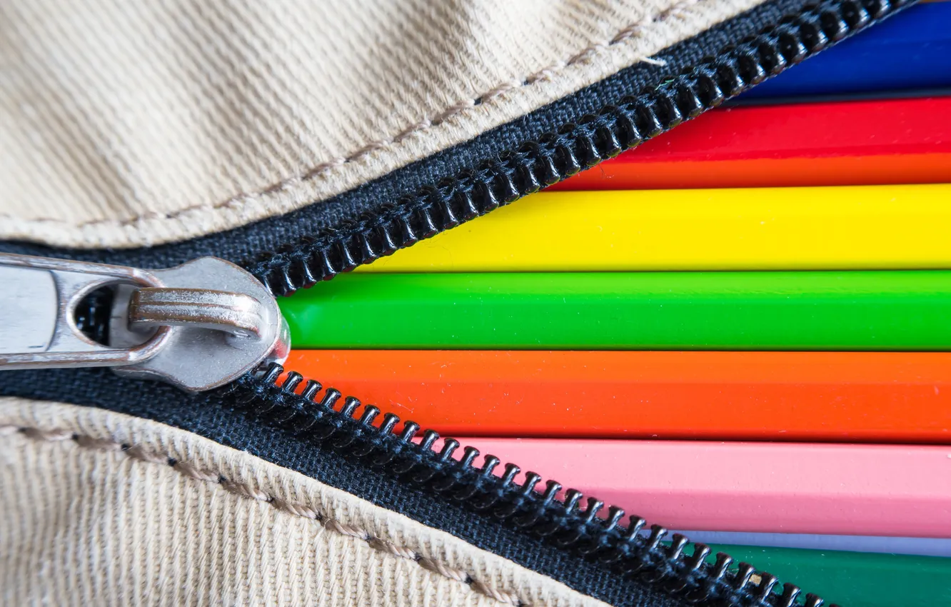 Photo wallpaper macro, color, Bag of Colors