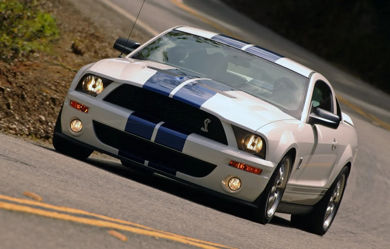 Photo wallpaper mustang, ford, shelby, cobra gt500