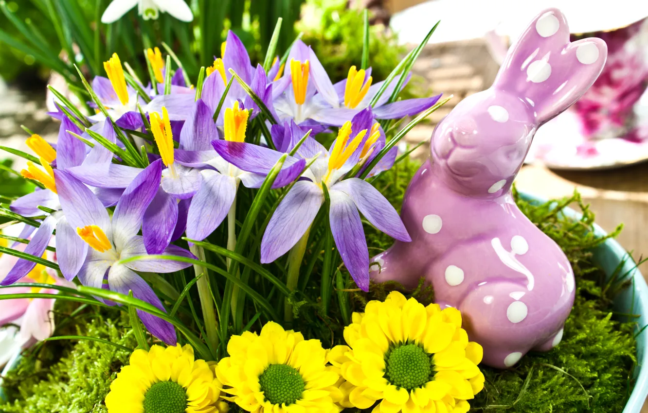 Photo wallpaper flowers, spring, yellow, rabbit, Easter, purple, crocuses, figurine