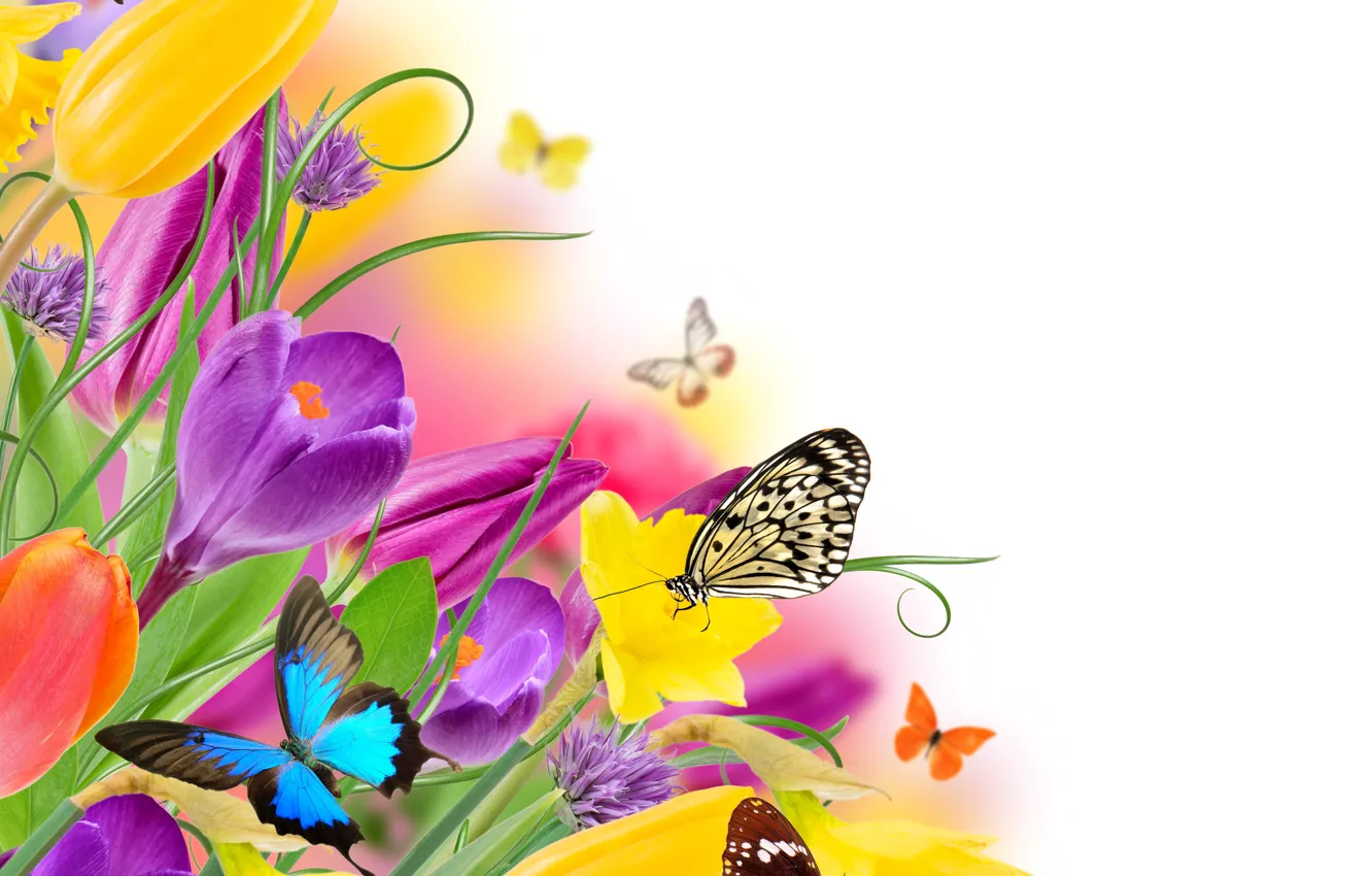 Photo wallpaper butterfly, flowers, spring, colorful, tulips, fresh, yellow, flowers