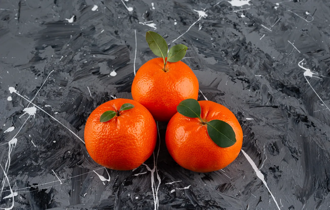 Photo wallpaper squirt, leaf, blots, citrus, grey background, trio, strokes, composition