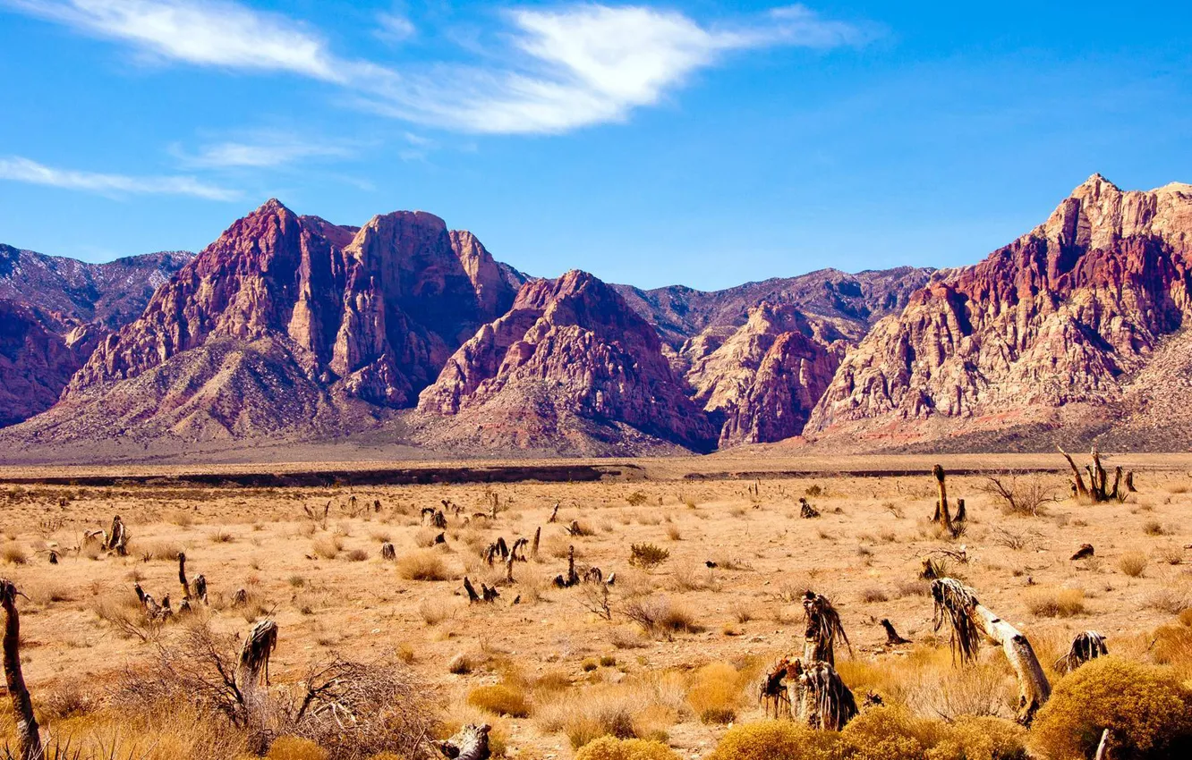 Photo wallpaper sand, mountains, desert, the bushes