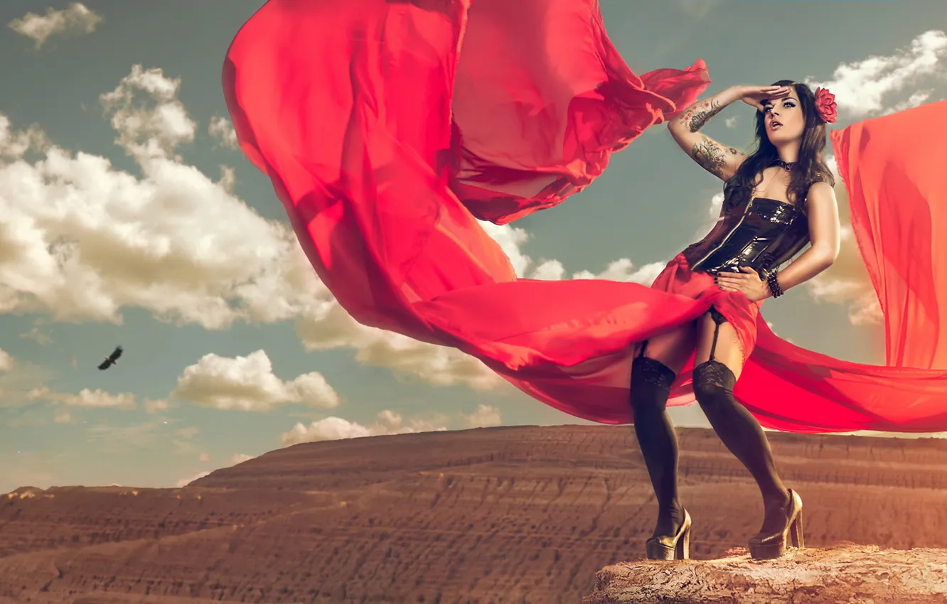 Photo wallpaper girl, mountains, pose