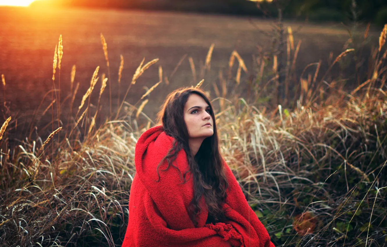 Photo wallpaper grass, look, girl, sunset, brown hair, plaid