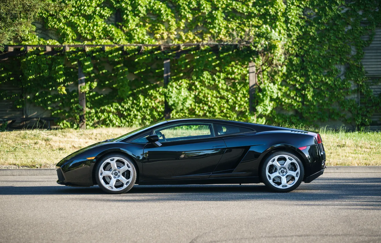 Photo wallpaper Lamborghini, Gallardo, side view, Lamborghini Gallardo