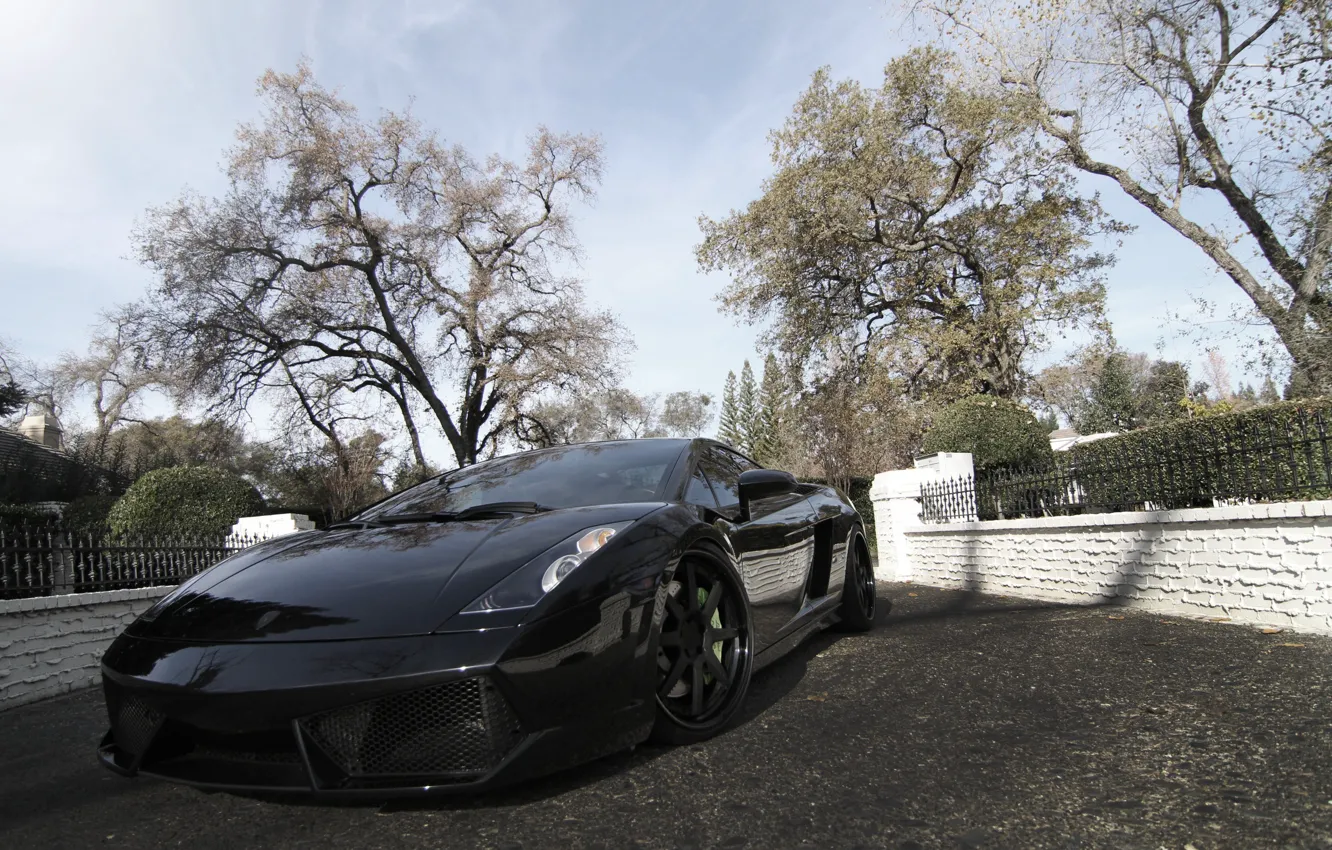 Photo wallpaper the sky, clouds, trees, reflection, black, wheels, gallardo, lamborghini