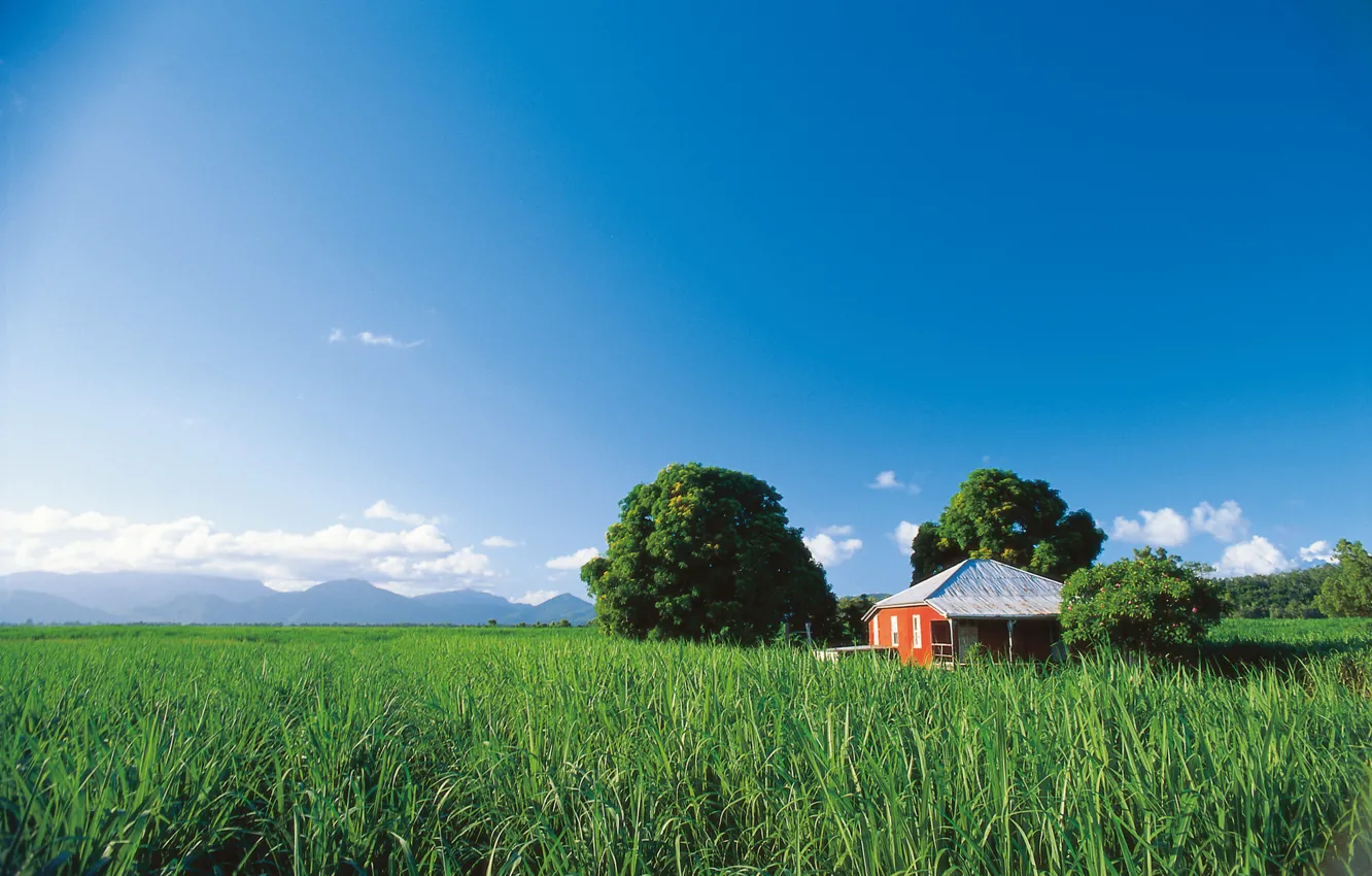 Photo wallpaper field, the sky, house, Queensland, Sugar Cane Farm