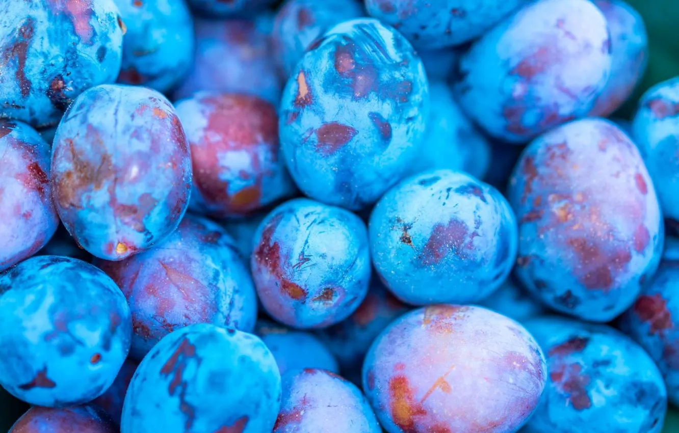 Photo wallpaper berries, fruit, drain, blue